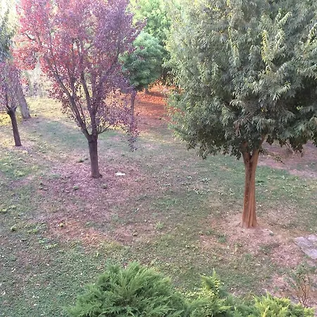 Da Eliana Bed & Breakfast 3*