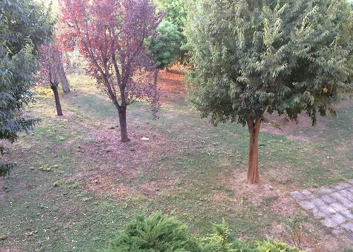 Da Eliana Oda ve Kahvaltı 3*