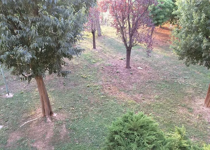 Da Eliana Oda ve Kahvaltı